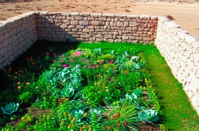 Illustration walled - Image 1