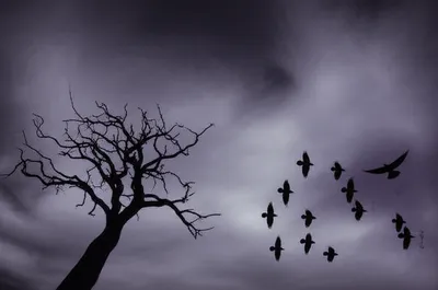 Illustration boding - Image 1