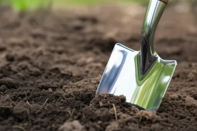 Illustration shovels - Image 1