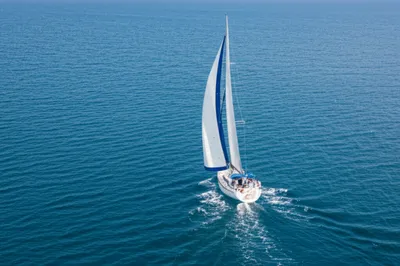 Illustration enlarging - Image 1