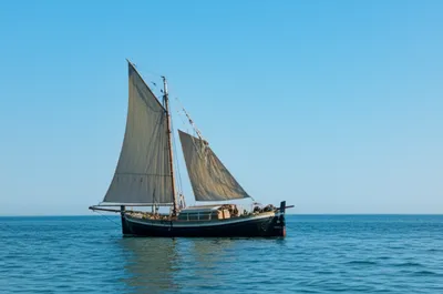 Illustration cats - Image 1