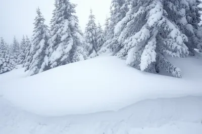 Illustration pitches - Image 1