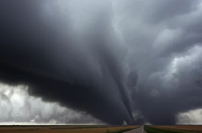 Illustration wedges - Image 1