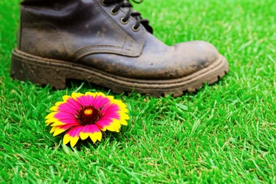 Illustration stomped - Image 1