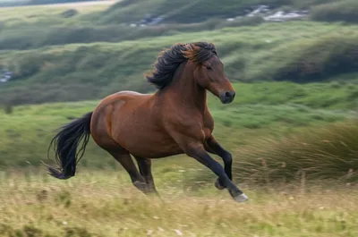 Illustration hobbies - Image 1