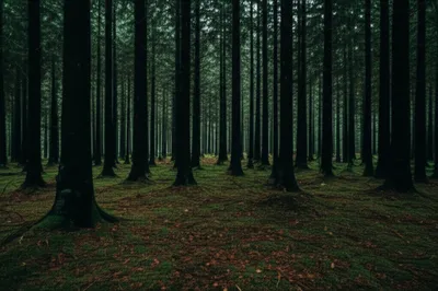 Illustration thicker - Image 1