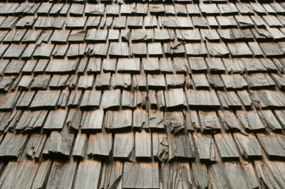 Illustration shake - Image 1