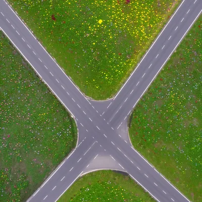 Illustration gores - Image 1