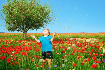 Illustration propitious