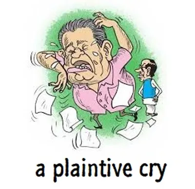 Illustration plaintive - Image 2