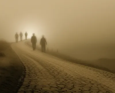 Illustration go back - Image 1