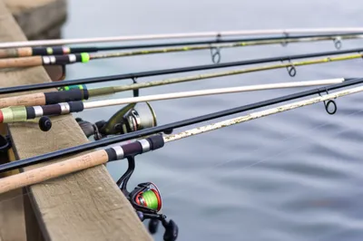 Illustration rods - Image 1