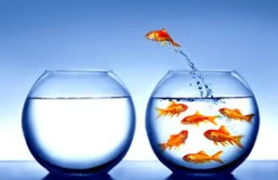 Illustration detach - Image 4