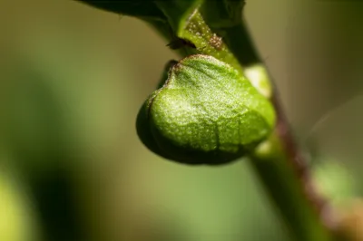 Illustration gr - Image 1