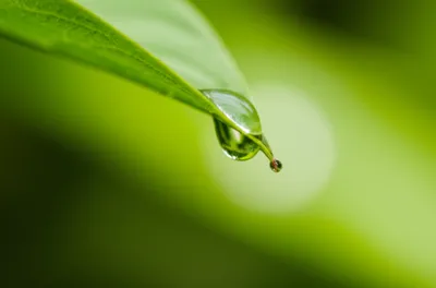 Illustration still - Image 1