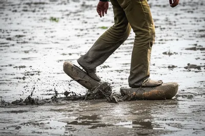 Illustration rackets - Image 1