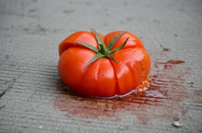 Illustration squats - Image 1