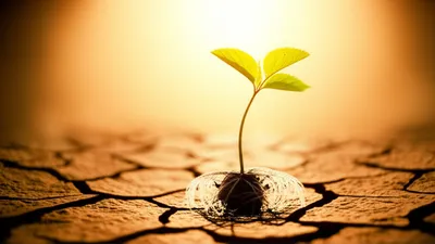 Illustration roused - Image 1