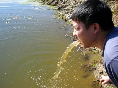 Illustration brackish - Image 1