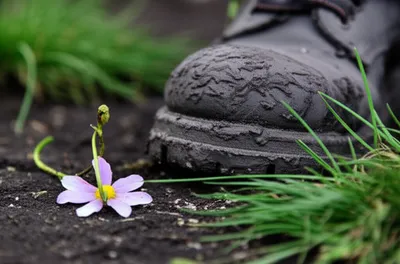 Illustration deprecates