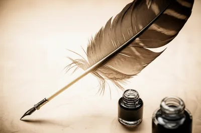 Illustration quill - Image 1