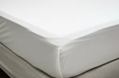 Illustration dominations - Image 1