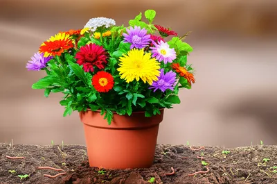 Illustration enriched - Image 1