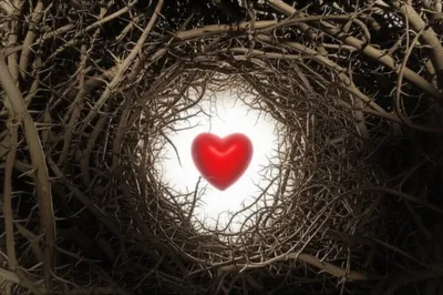 Illustration pierces - Image 1