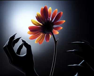 Illustration malice - Image 1