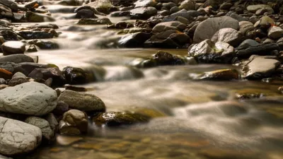 Illustration rumbled - Image 1