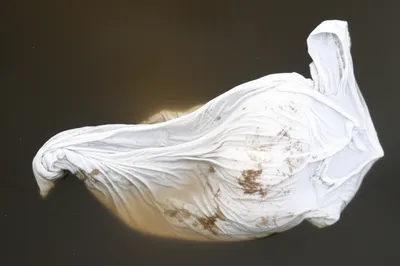 Illustration soils - Image 1