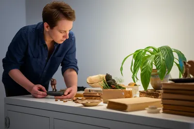 Illustration curate - Image 1