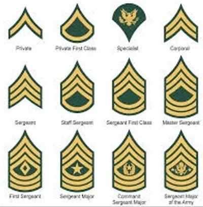 Illustration stripe - Image 2