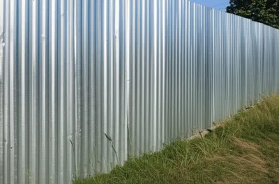 Illustration paling - Image 1