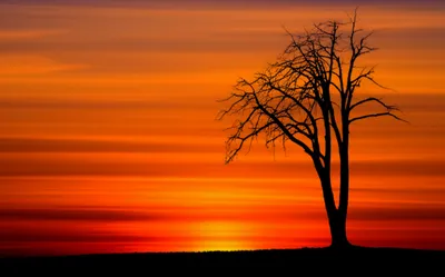 Illustration terminations - Image 1