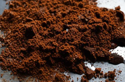 Illustration muds - Image 1