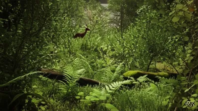 Illustration verts - Image 1