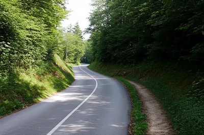 Illustration declines - Image 1