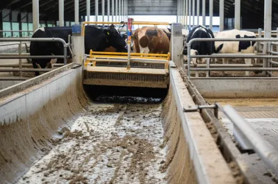 Illustration gutter - Image 1