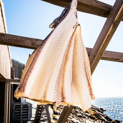 Illustration stockfish - Image 1