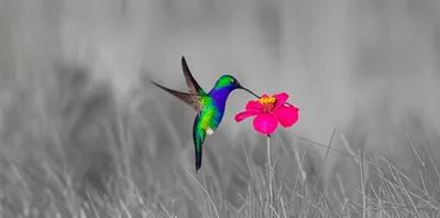 Illustration relieving - Image 1