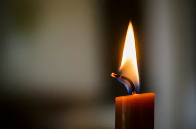 Illustration rush - Image 1