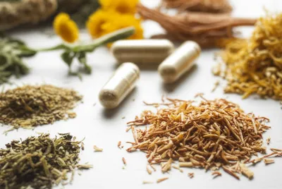 Illustration herbal - Image 1