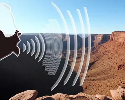 Illustration resounded - Image 1