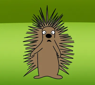 Illustration porcupine