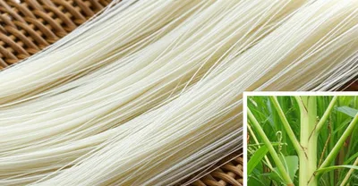 Illustration ramie - Image 1