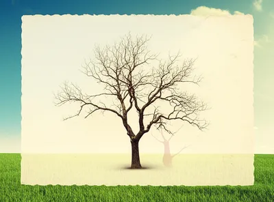 Illustration once - Image 1