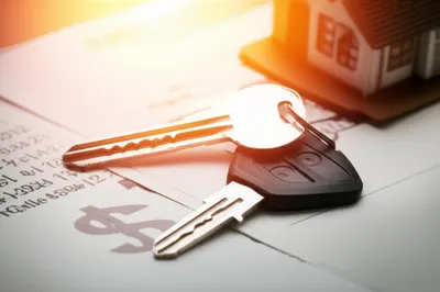 Illustration collaterals