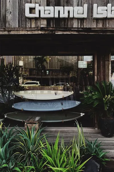 Illustration renting - Image 2