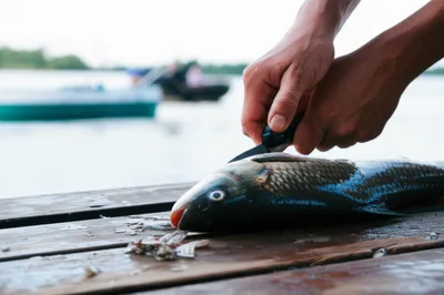 Illustration cleanest - Image 1